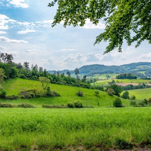 odenwald-germany-is-pure-nature-min
